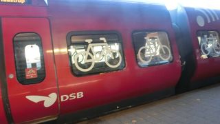 自転車も乗れば、犬も乗る