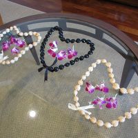 ある日のクリーニング後の部屋。お茶目です。