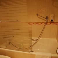 このシャワーが全く使い物にならず。