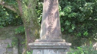 住宅地に挟まれて存在・・・