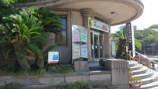 自然史系中心・・・