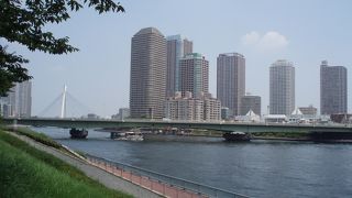 橋下を隅田川クルーズ船が通過するのを眺めるのも気持ち良いです～