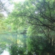 神社の末社、「丸池様」もいいですよ。