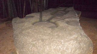 用途はいまだにわかっていません