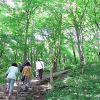 これはボート乗り場からホテルに向かう道（階段）です