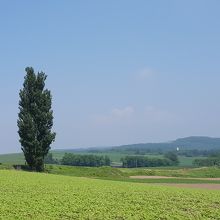 周辺・遠方の景色に溶け込んでいます