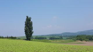 周りの景色に注意！
