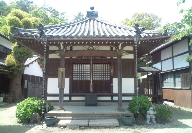 徳川頼宣公の母の菩提寺