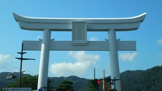 パワーをたくさんもらいました