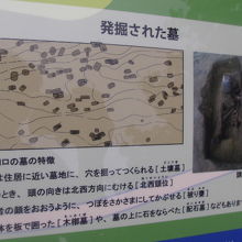 古代ロマンに浸れる展示が目白押しです