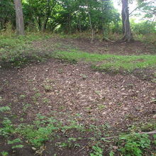 こんな穴ぼこが一杯並んでいたりします