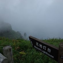 矢印の先あたりにいます。