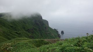 海辺にたたずむ猫　＠猫岩