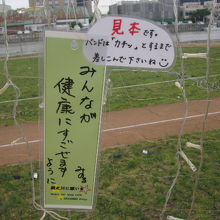 サンプル作品が既に吊るされていました