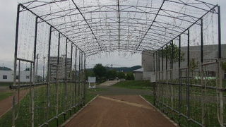 七夕飾りも楽しめます