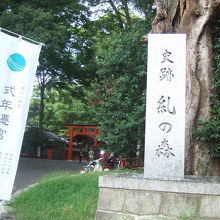 糺すの森の入口