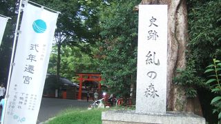下鴨神社の境内に向かう緑の中の癒し道