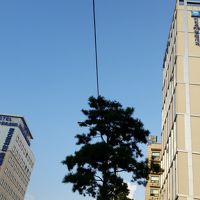 お向かいは東横イン