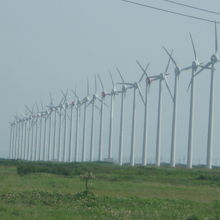サロベツ原野側から眺めた風車の並びの様子