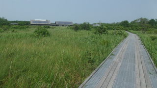 沢山の見所がありますので、それぞれの比較が楽しいです