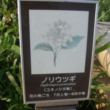 イラスト図解の解説板が判り易くて良かったです