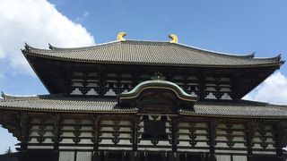 見応えあります