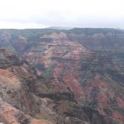 ハワイ４島の中で最も古い時代にできた島、カウアイ島のシンボル