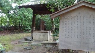 御苑内の名水「縣井」は病も治したとか