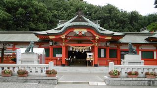 金運が上がると良いなぁ