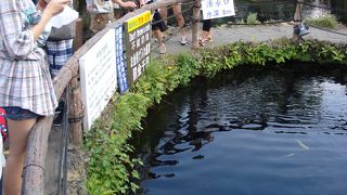 中国人のマナーの悪さに注意！