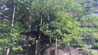 おいしい回転すし