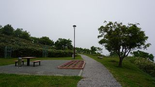 15分くらいあれば上ってしまうのですが