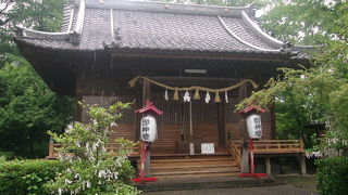 手水舎がカエルさんになっています！！！