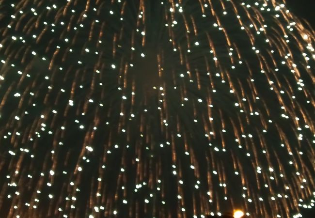 蒲郡まつり納涼花火大会 クチコミ アクセス 営業時間 蒲郡 フォートラベル 蒲郡まつり納涼花火大会 クチコミ アクセス 営業時間 蒲郡 フォートラベル