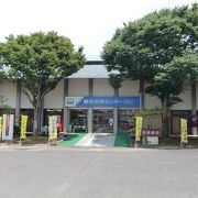 波佐見焼の情報を発信しています