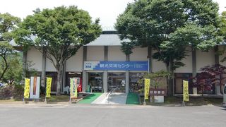 波佐見焼の情報を発信しています