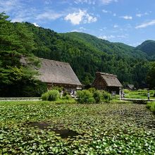 国指定重要文化財　和田家