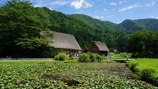 盛夏の白川郷