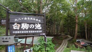 往復30分あれば行けます