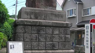 過激な洋化主義者