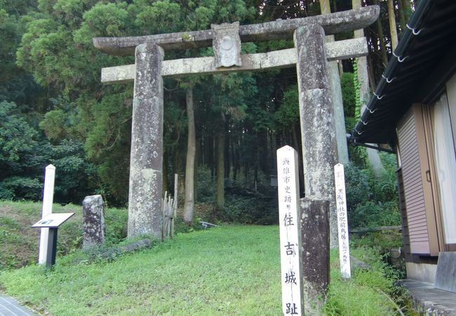 中世の城址です