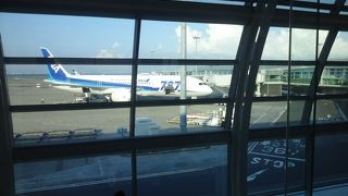 大阪へ野球観戦に出かけました