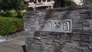 仙台市の花宮城野萩を