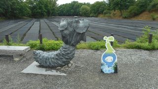 テレビでよくみる場所