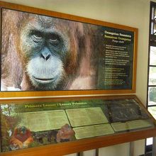 ビジターズセンター