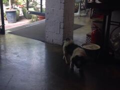 126 マンション 写真