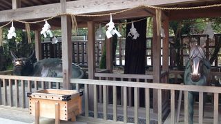 本殿の目の前、一撫でを忘れずに