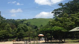 山焼きで有名な山!!