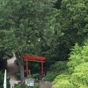 カイザースラウテルンの日本庭園