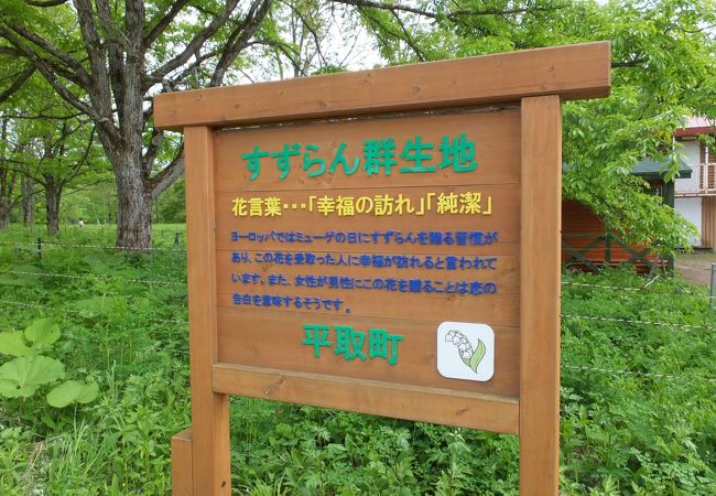 平取町芽生すずらん群生地 クチコミ アクセス 営業時間 門別 日高 フォートラベル